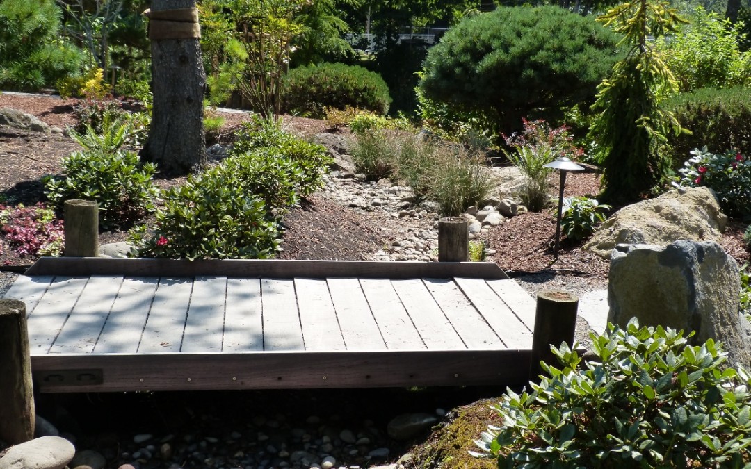 Walkway in garden