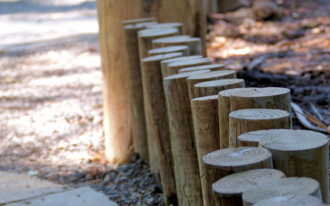 Fence feature in garden