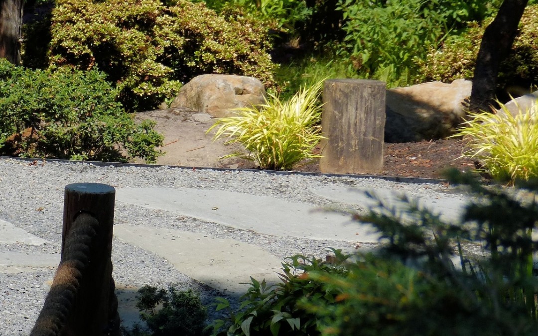 Stone path in garden